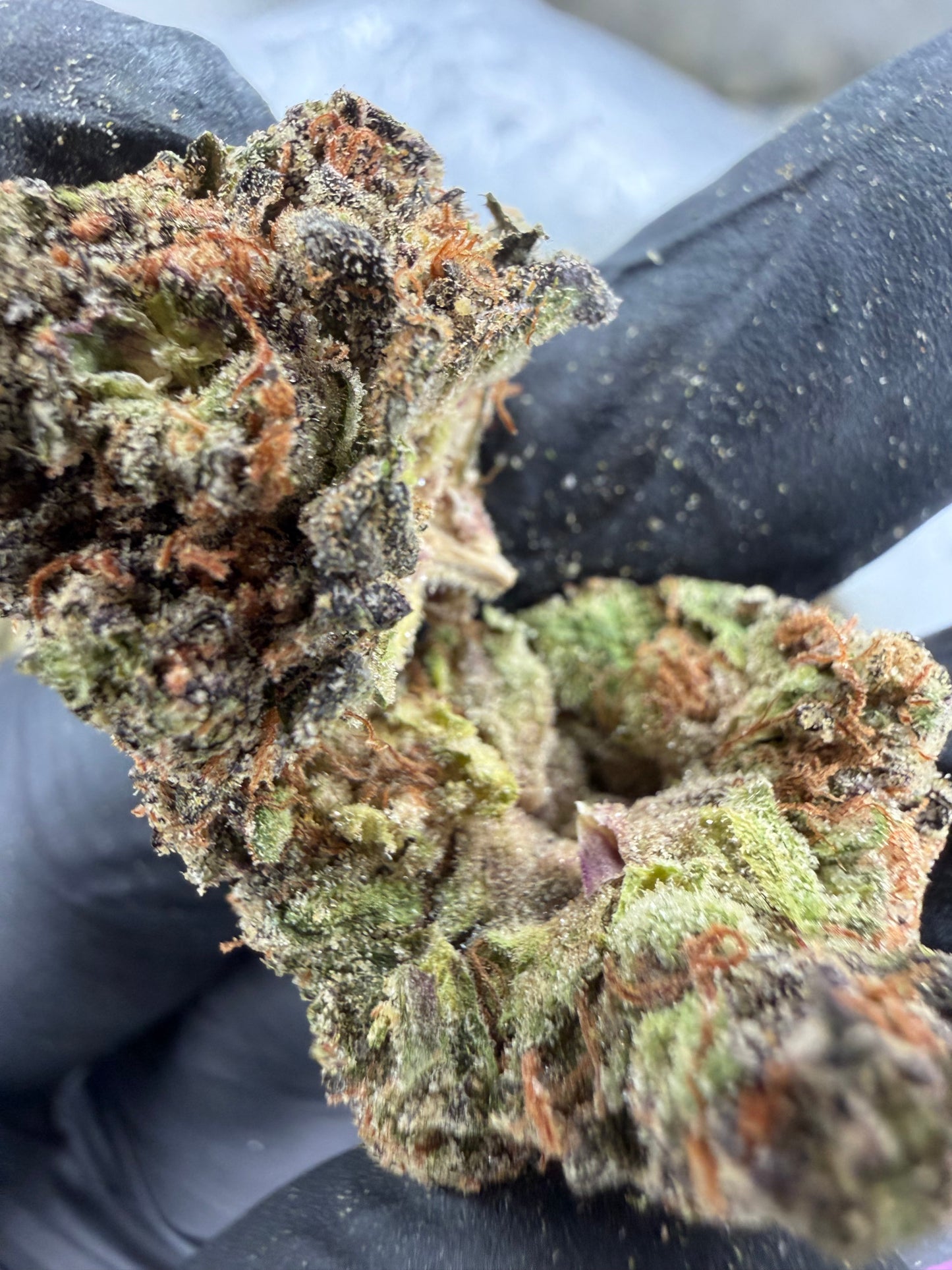 Gush Mints Exotic indoor