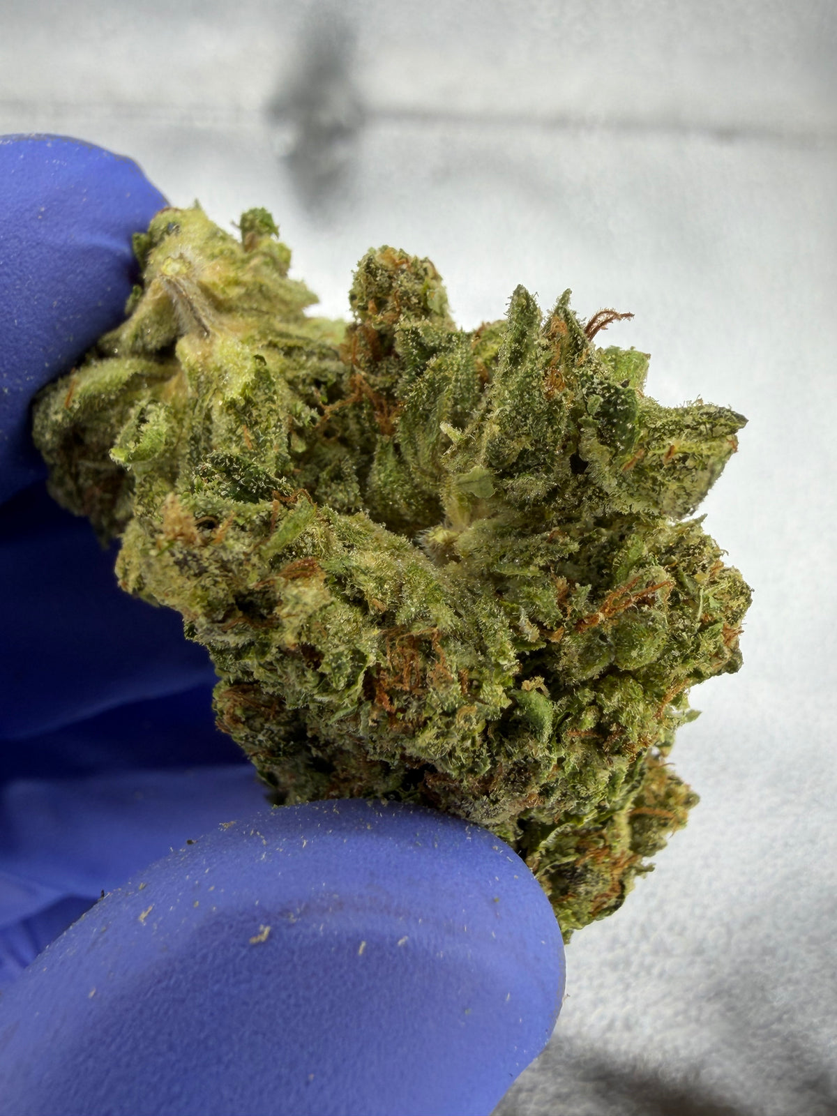 Original Haze Classic Strain