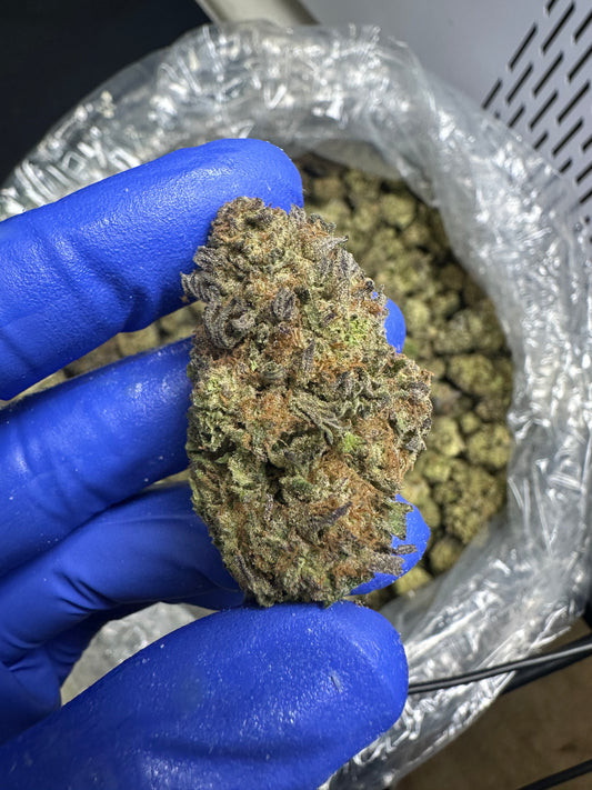 Purple Urkle Green House