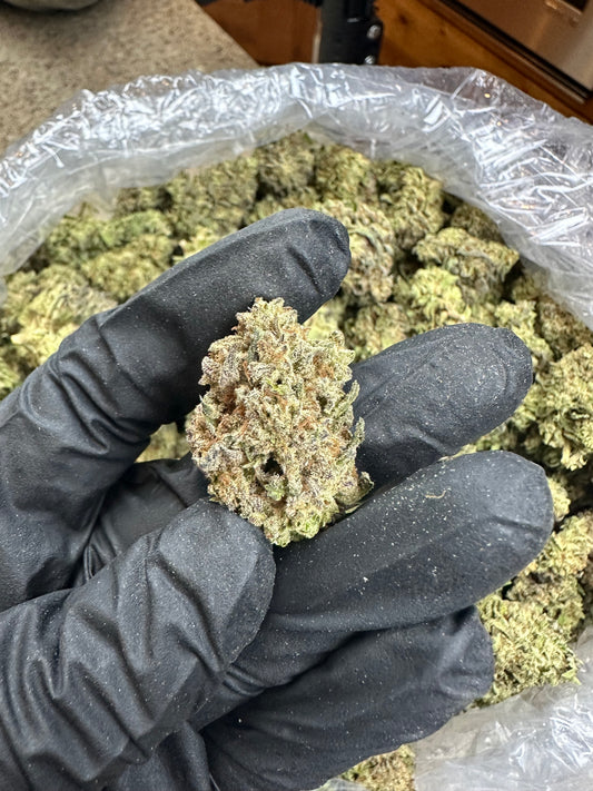 Oreoz Indoor Light Assist