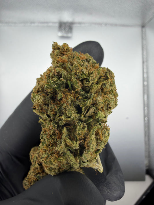Gorilla OG Light Assist