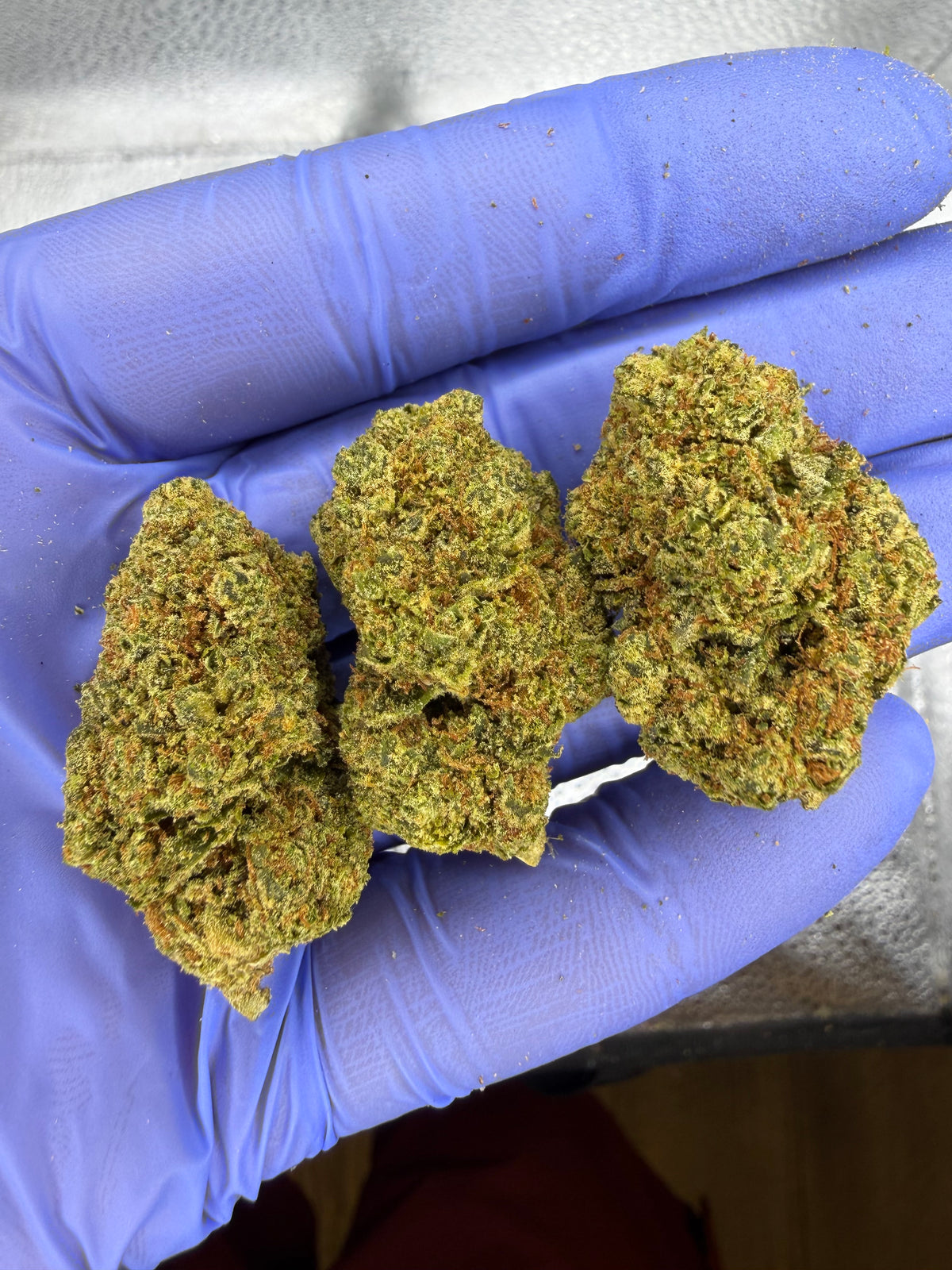 Sour Diesel Cookies Indoor Light Assist AAA