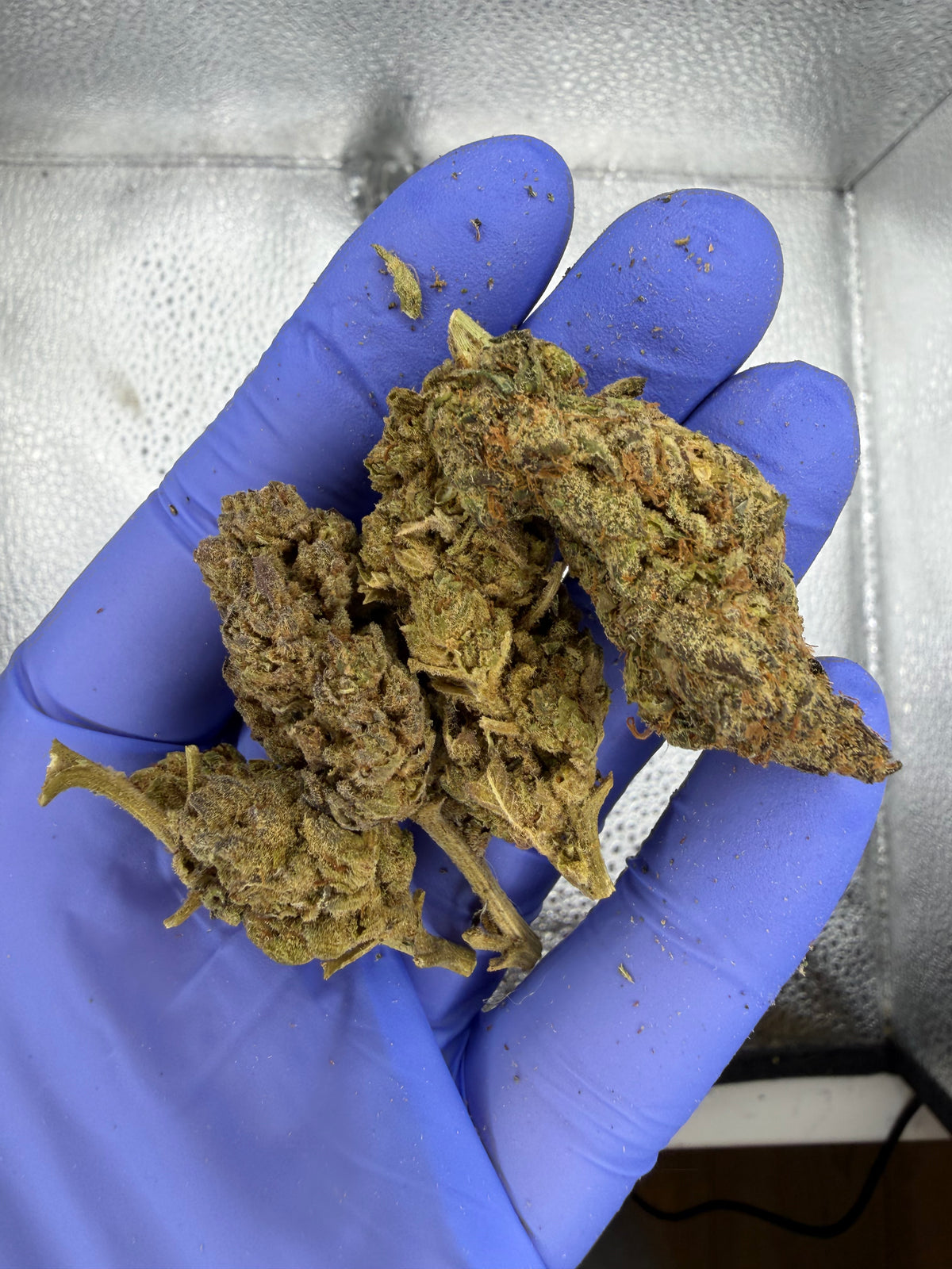 OLD Mixed Nugs