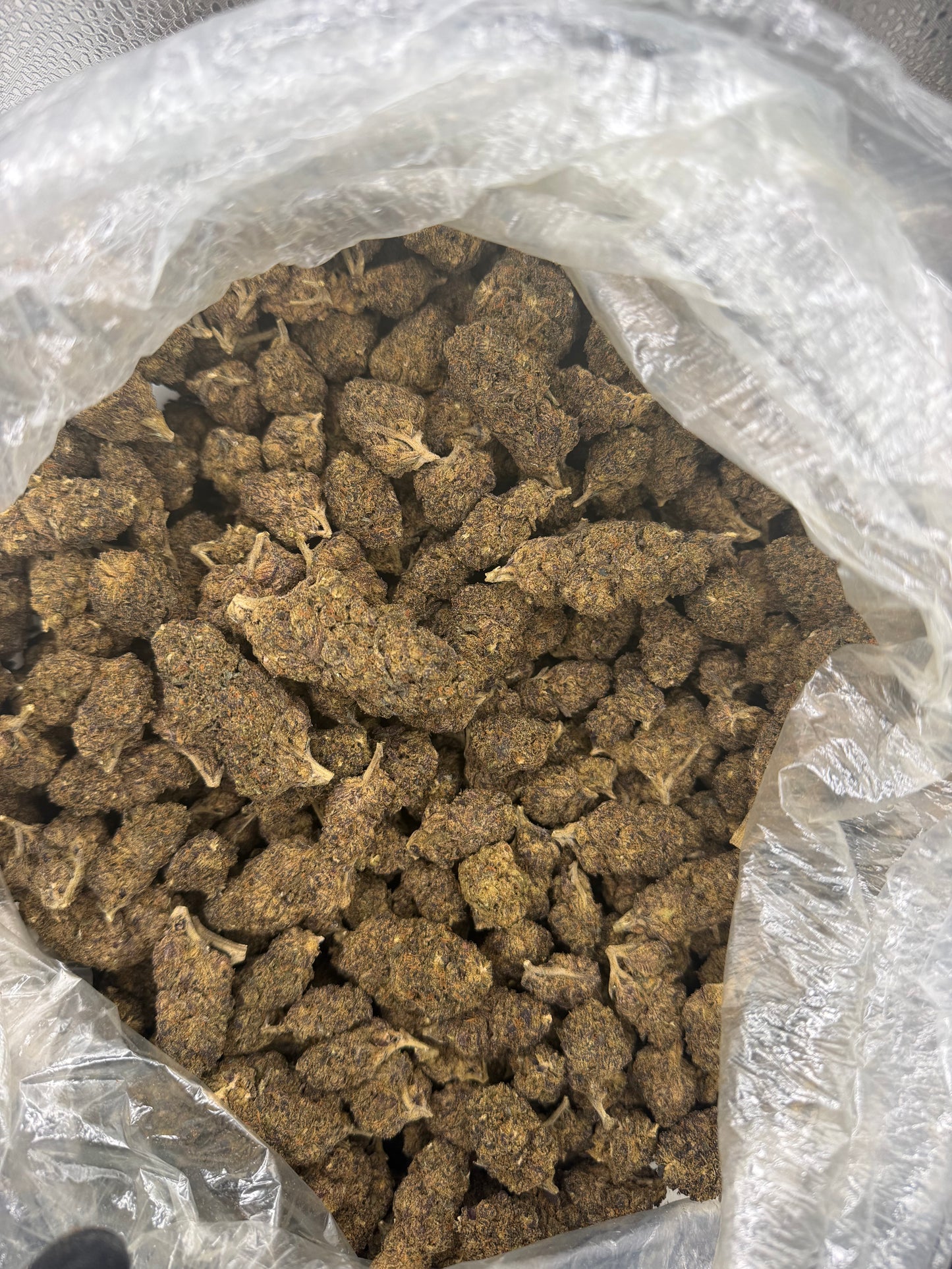 Purple Kush old out door (read description)