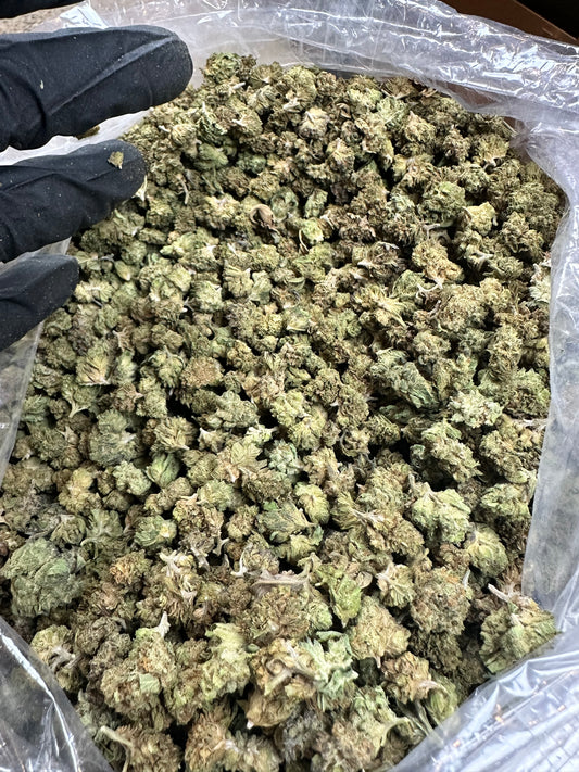 Cosmic Rocks Green House Smalls