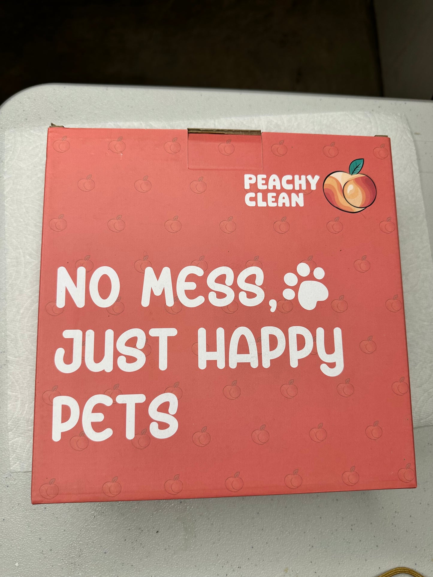 Peachy Clean Splash Less Dog Bowls