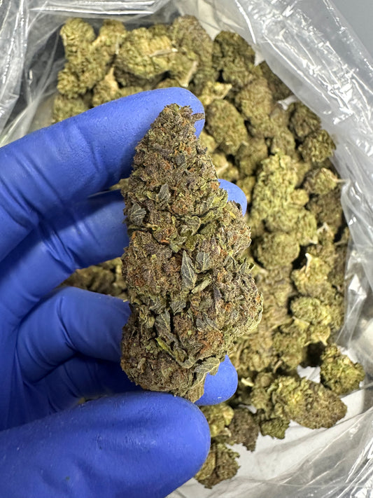 Grape Runtz Green House