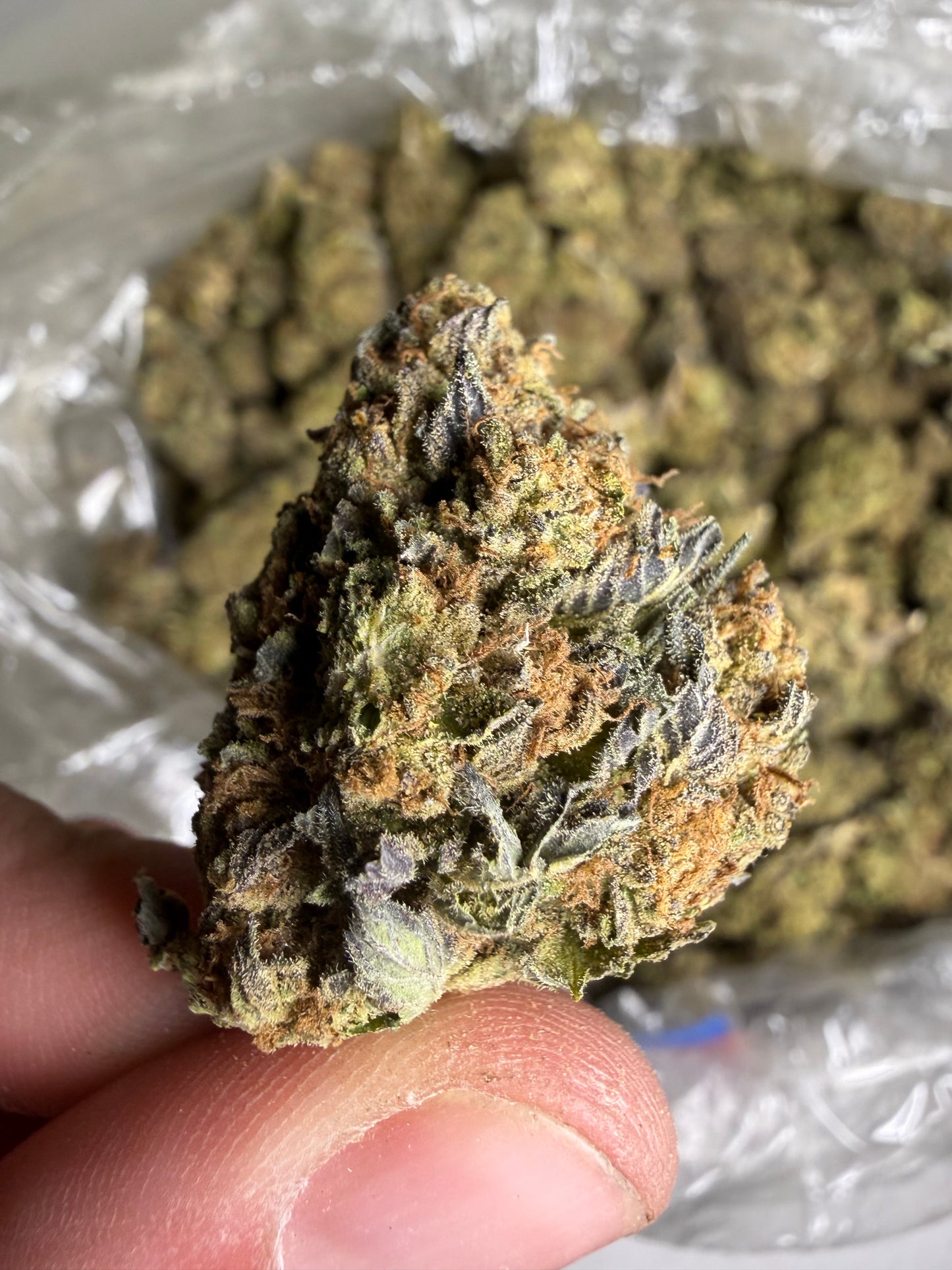 Purple punch old batch ships June 3rd