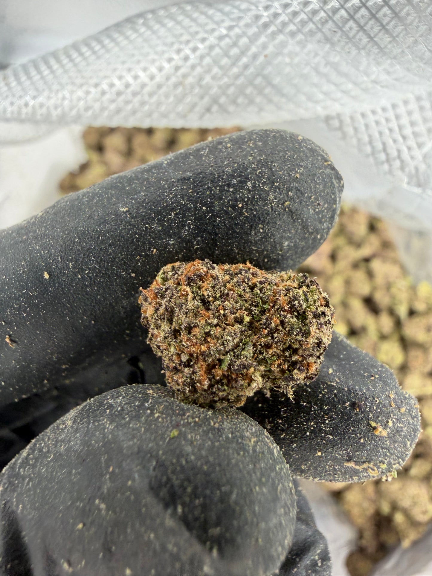 Candy Grape Gas Exotic Smalls