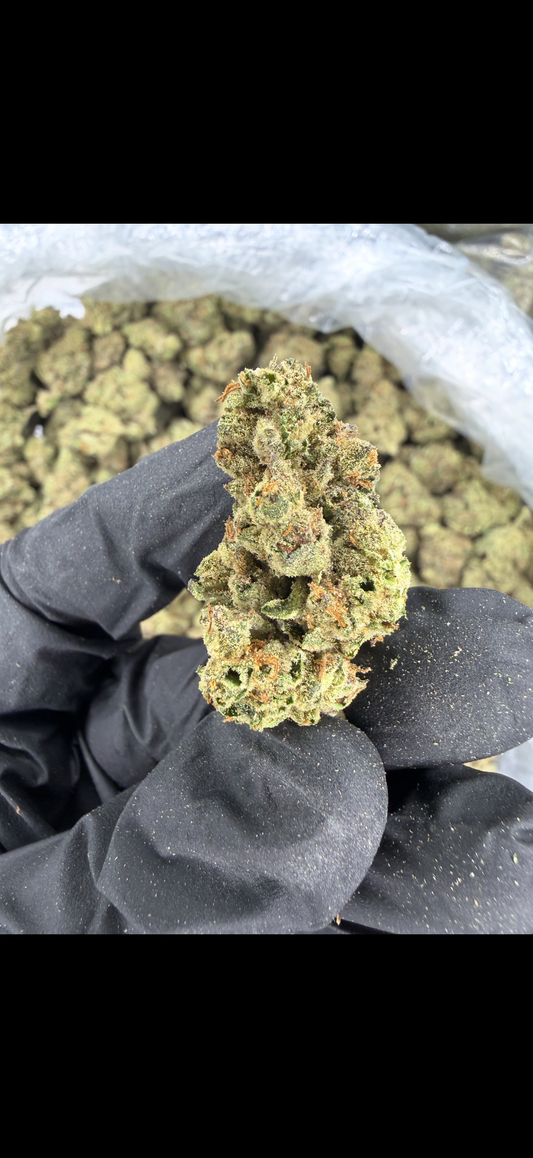 Jelly Cake Indoor Light Assist