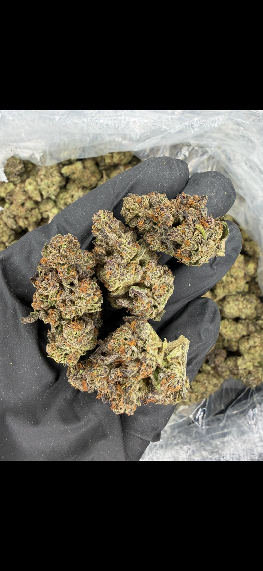 Kush Mintz Indoor Light Assist