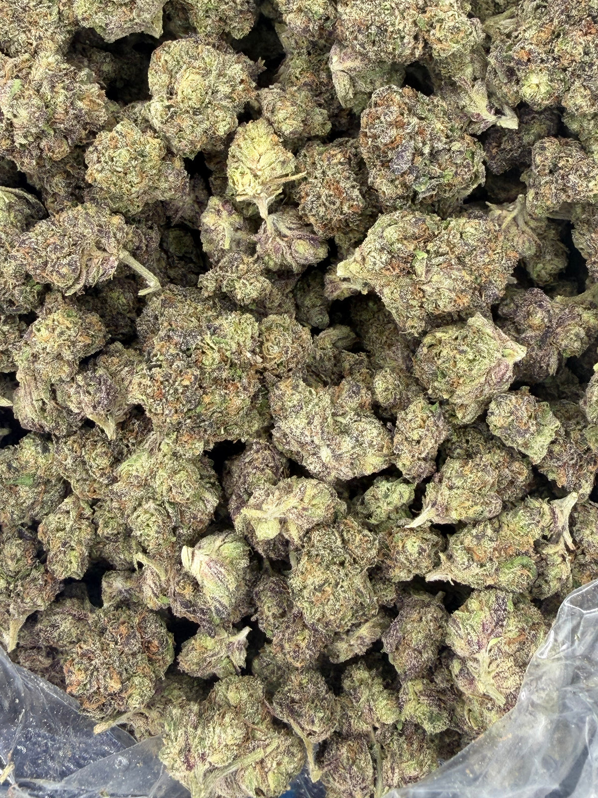 Galactic Runtz Indoor Light Assist