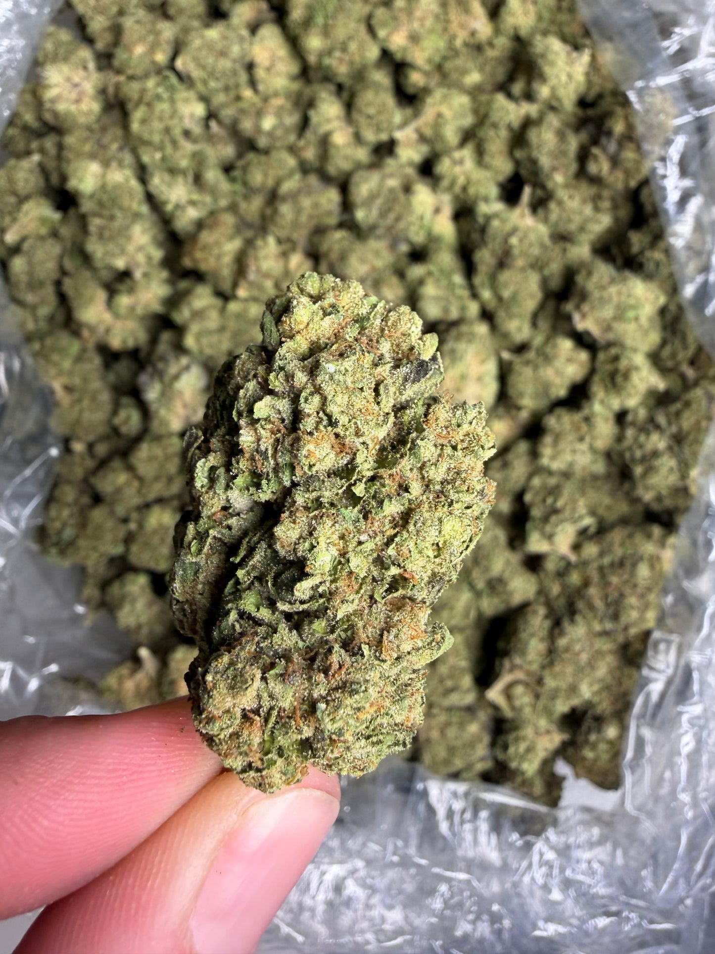 Intense Potent Cannabis (IPC) Indoor Light Assist won’t be shipped until june 3rd