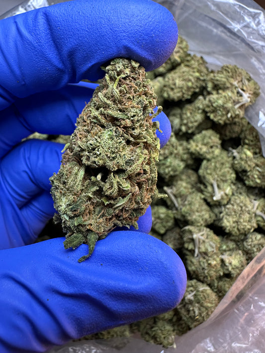 Mango Breath Green House