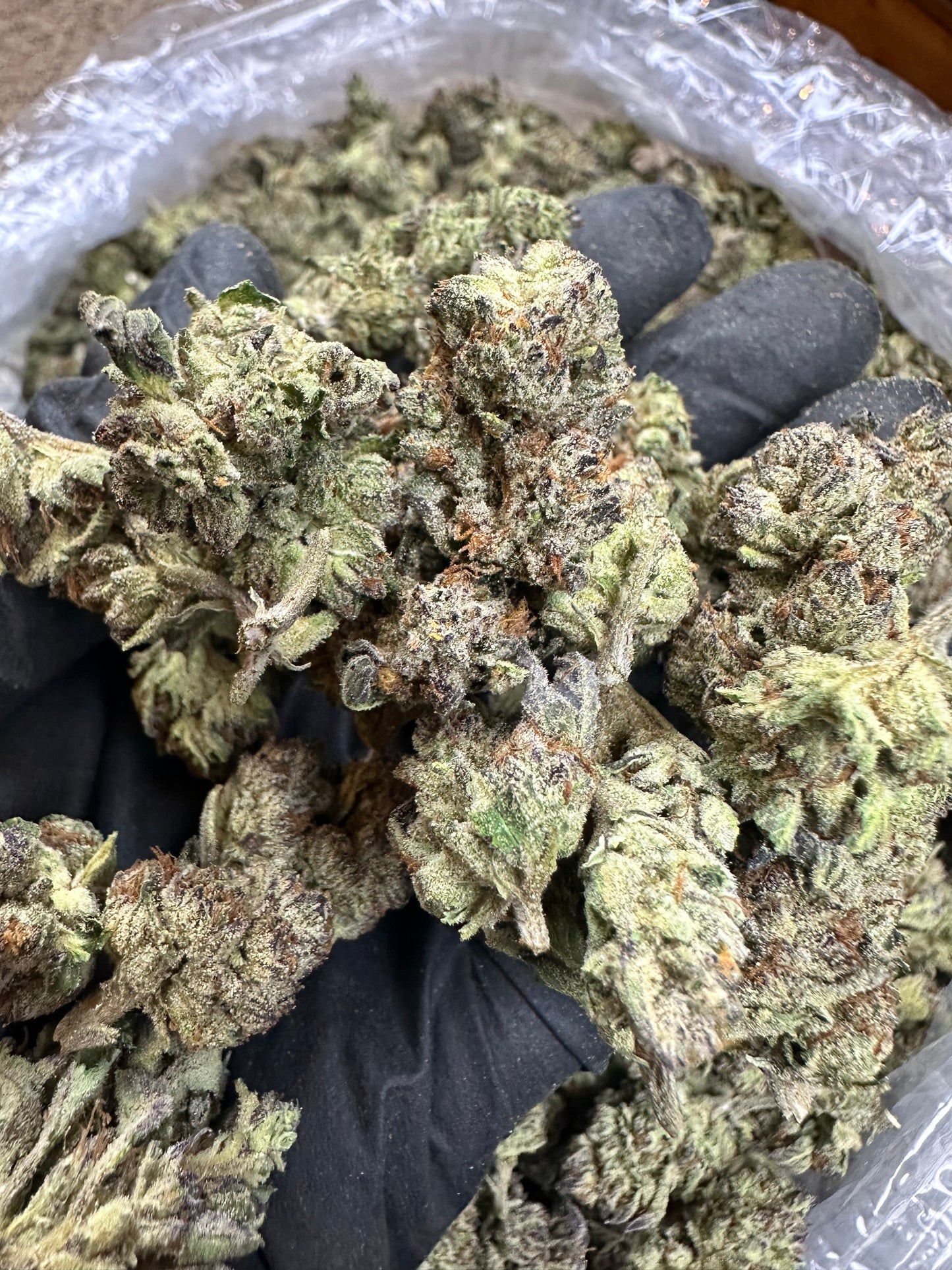 Modified Grapes Indoor Mediums