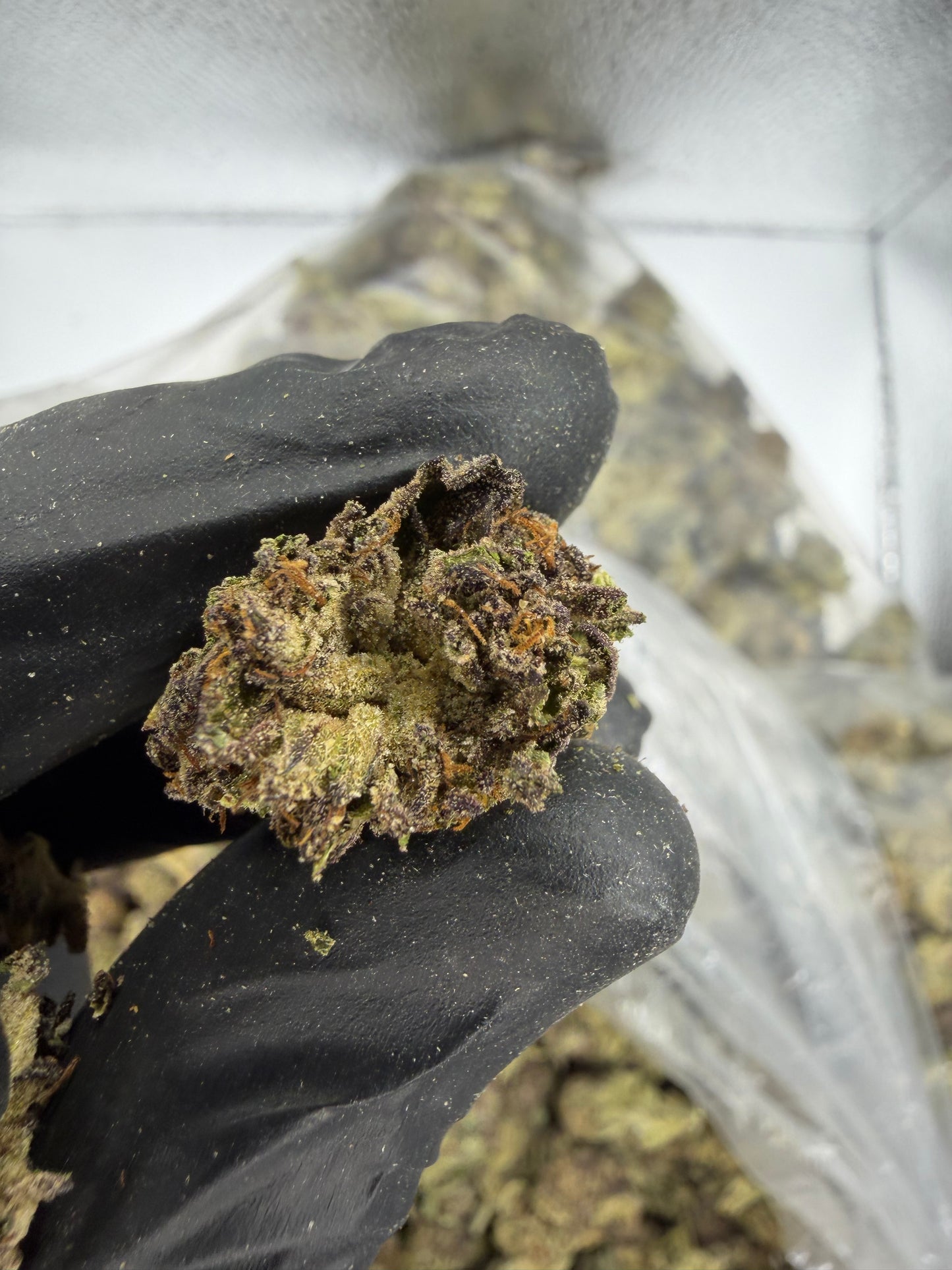 Pink Twinkies Outdoor