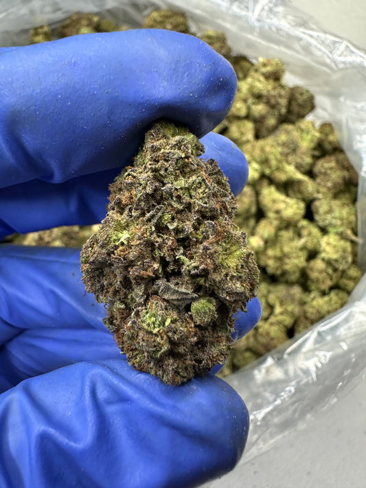 Bubba Kush Green House