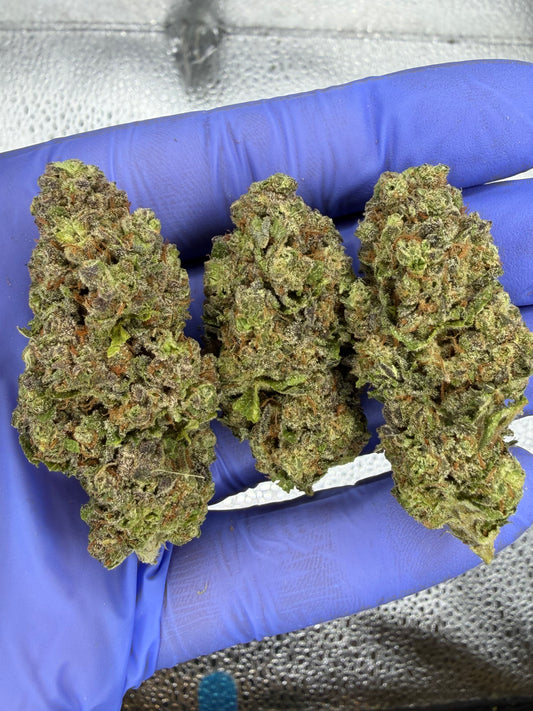 Hash Burger AAA Indoor Light Assit