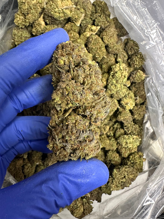 Grape Runtz Green House