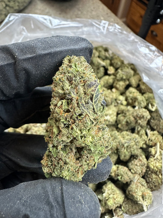 Gelato Shmediums (older harvest)