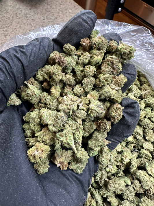 Blue Dream Greenhouse Smalls