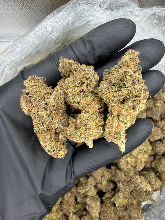 Cheesy Peanut Delight Old Exotic indoor
