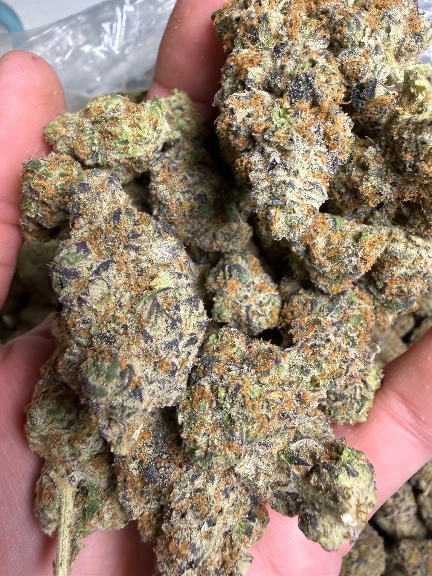 Funk In The Trunk Cannaisseur Exotics ships Monday