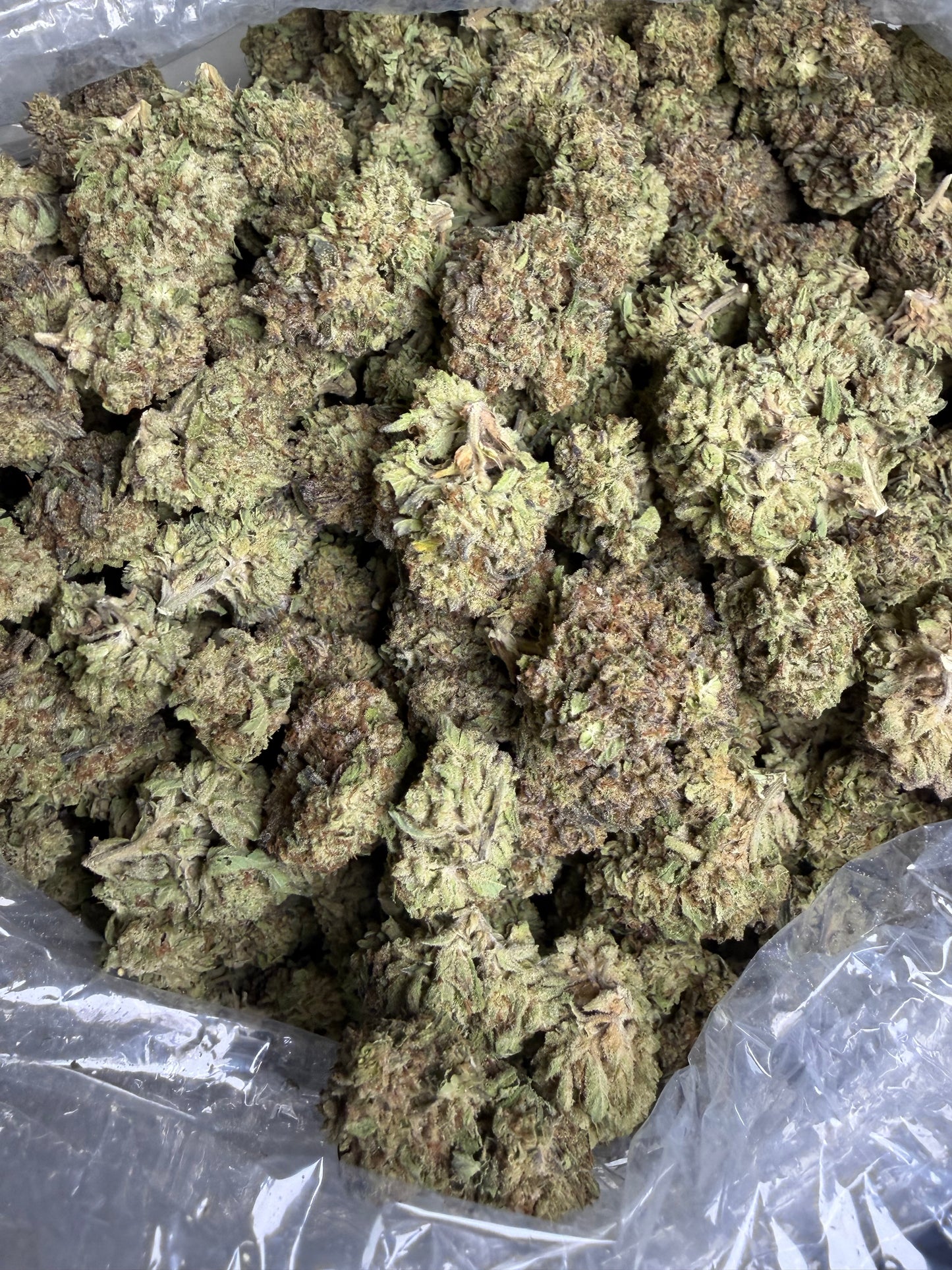 Oreoz Indoor Light Assist