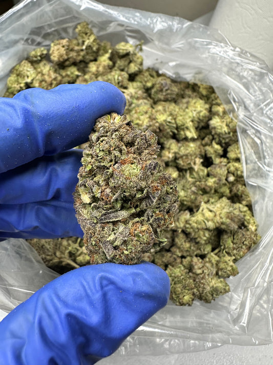 Rainbow Belts Green House