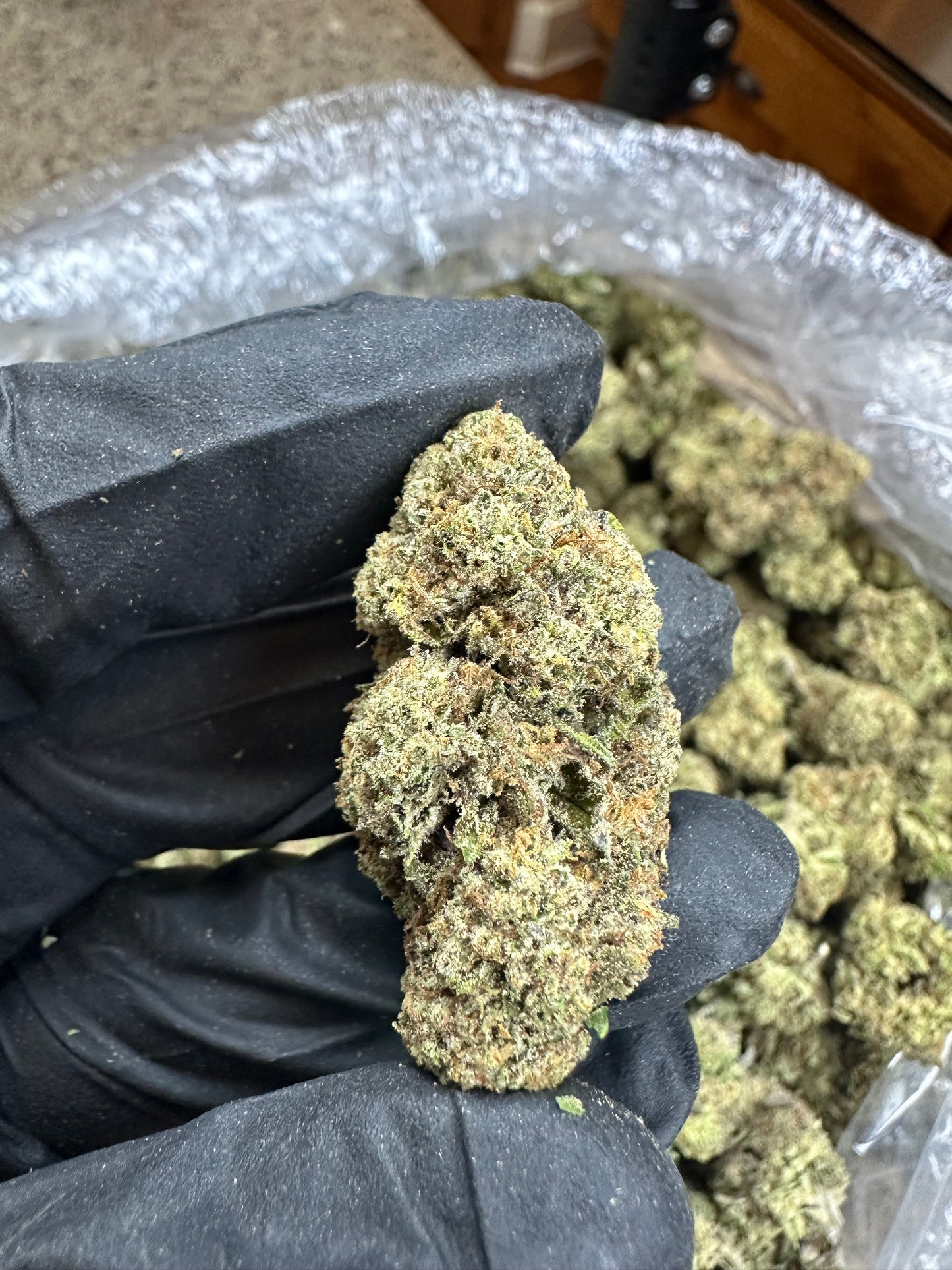 Slurricane Indoor Light Assist