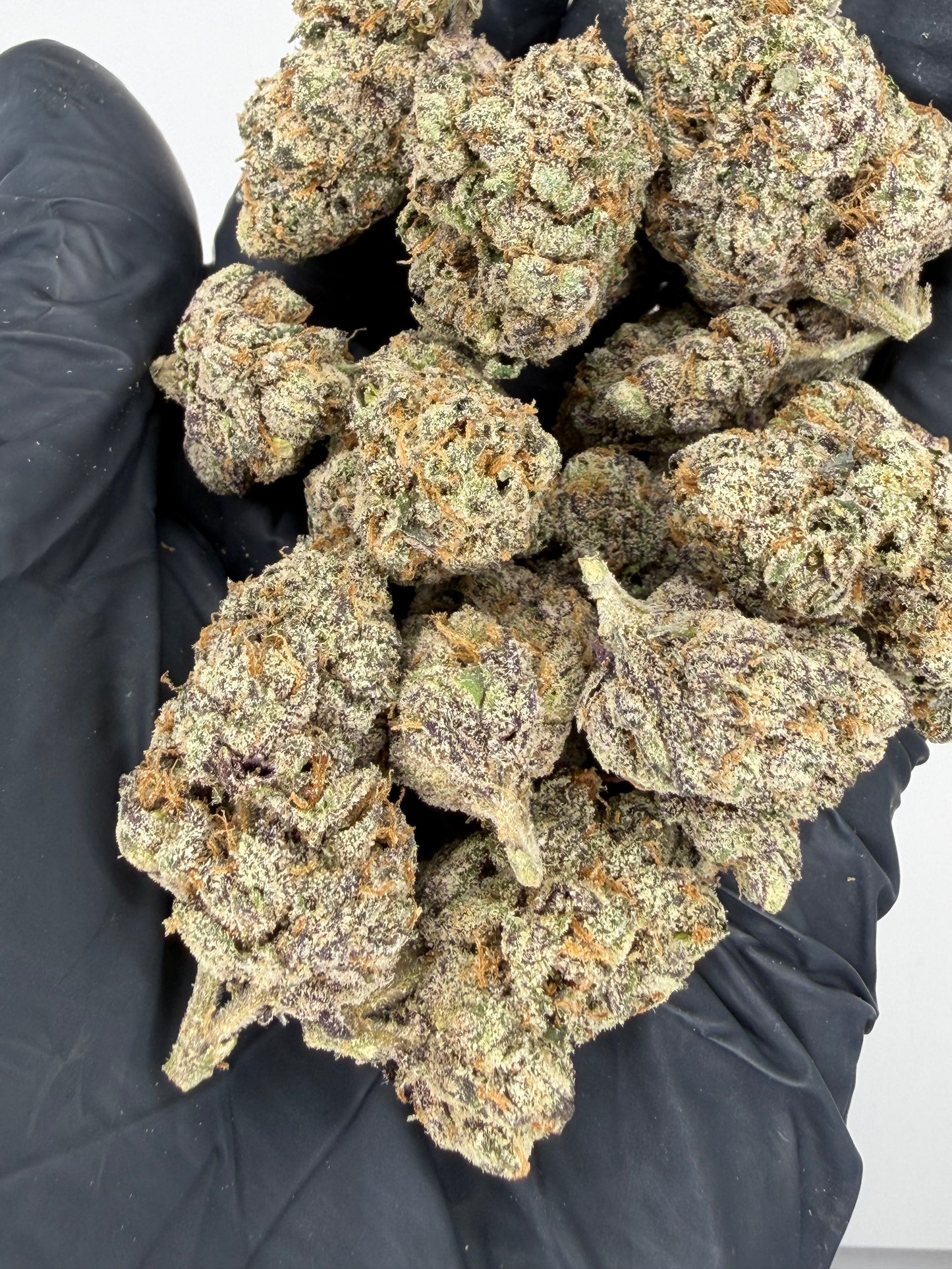 Candy Man’s Dream Cannaisseur
