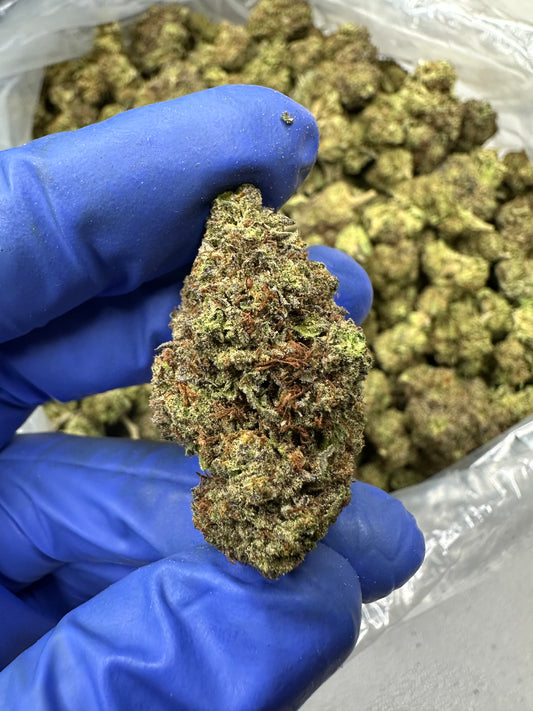 Bubba Kush Green House