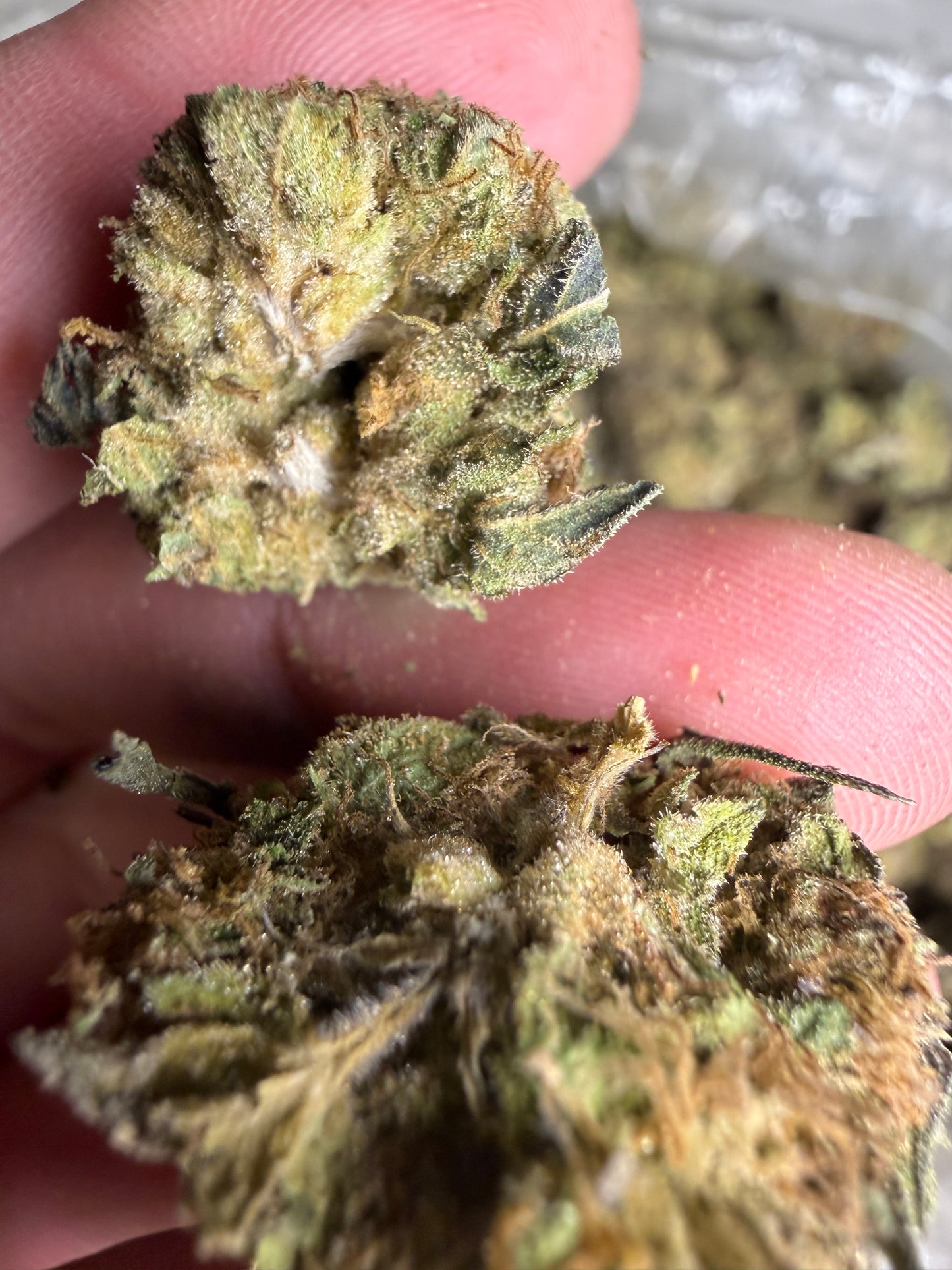Purple punch old batch ships June 3rd