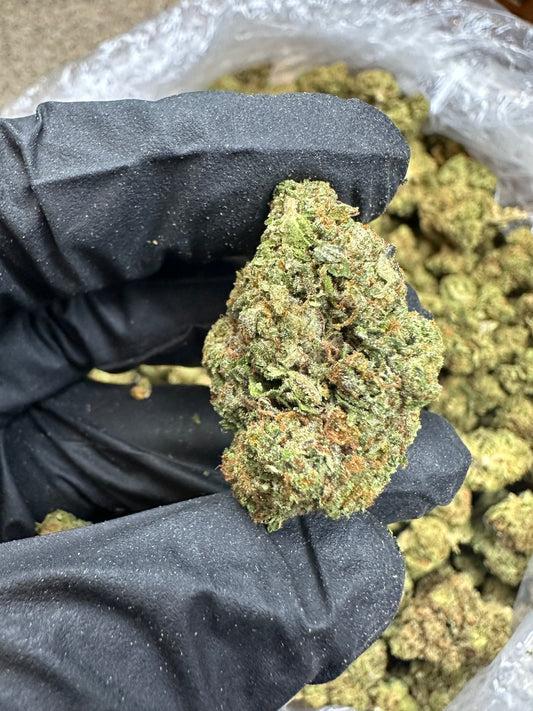 Cadillac Rainbows Indoor Light Assist