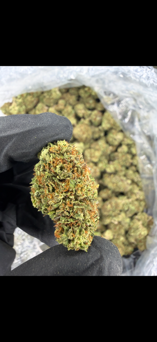 Gushers Indoor Light Assist