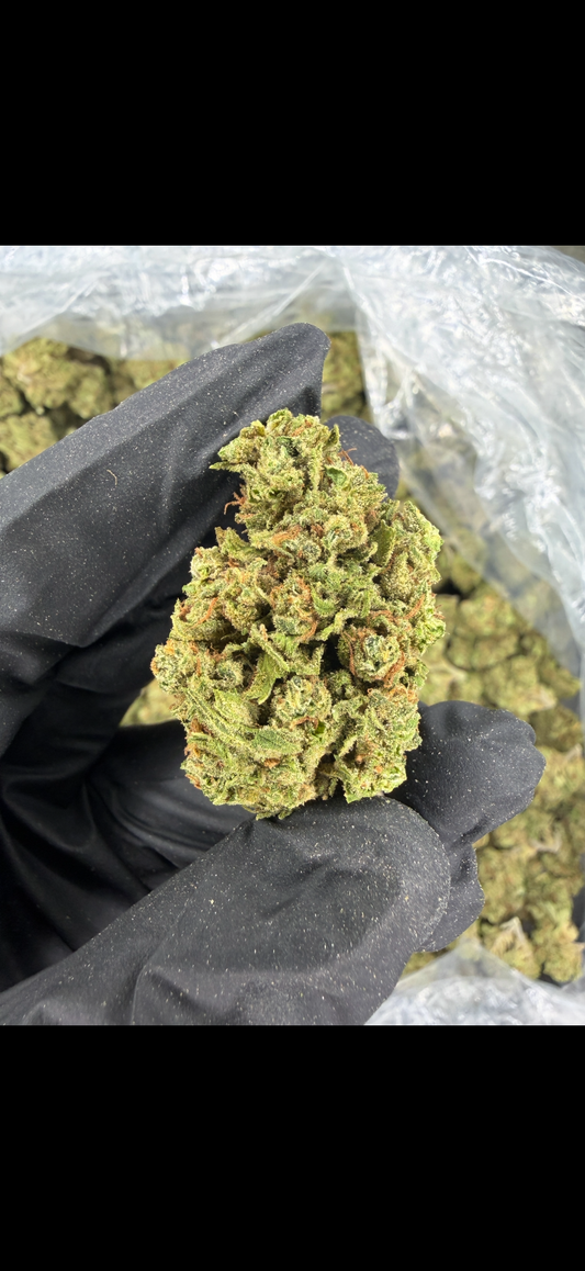 Blue Dream (fresh) Indoor light Assist