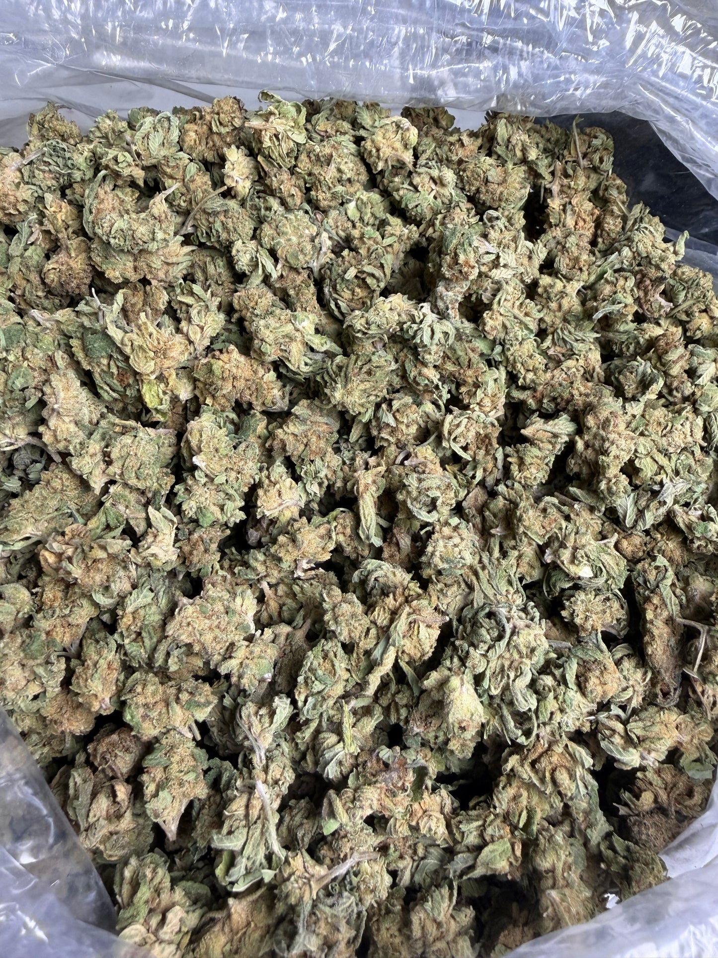 Blue Dream Greenhouse Smalls ships June 3rd