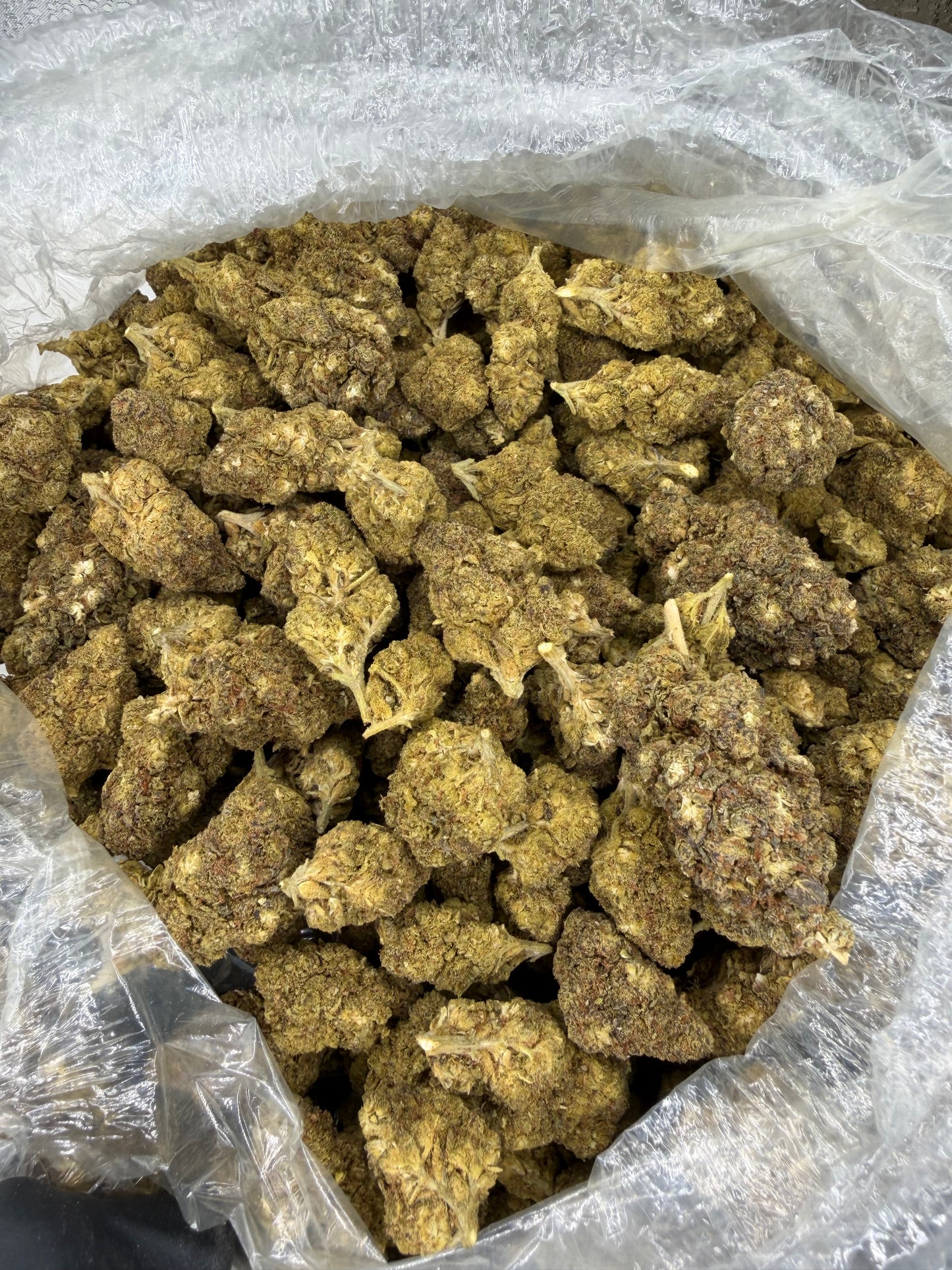 Blue Dream Old Outdoor (read description)