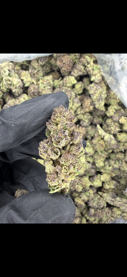 Cereal Milk Indoor Light Assist