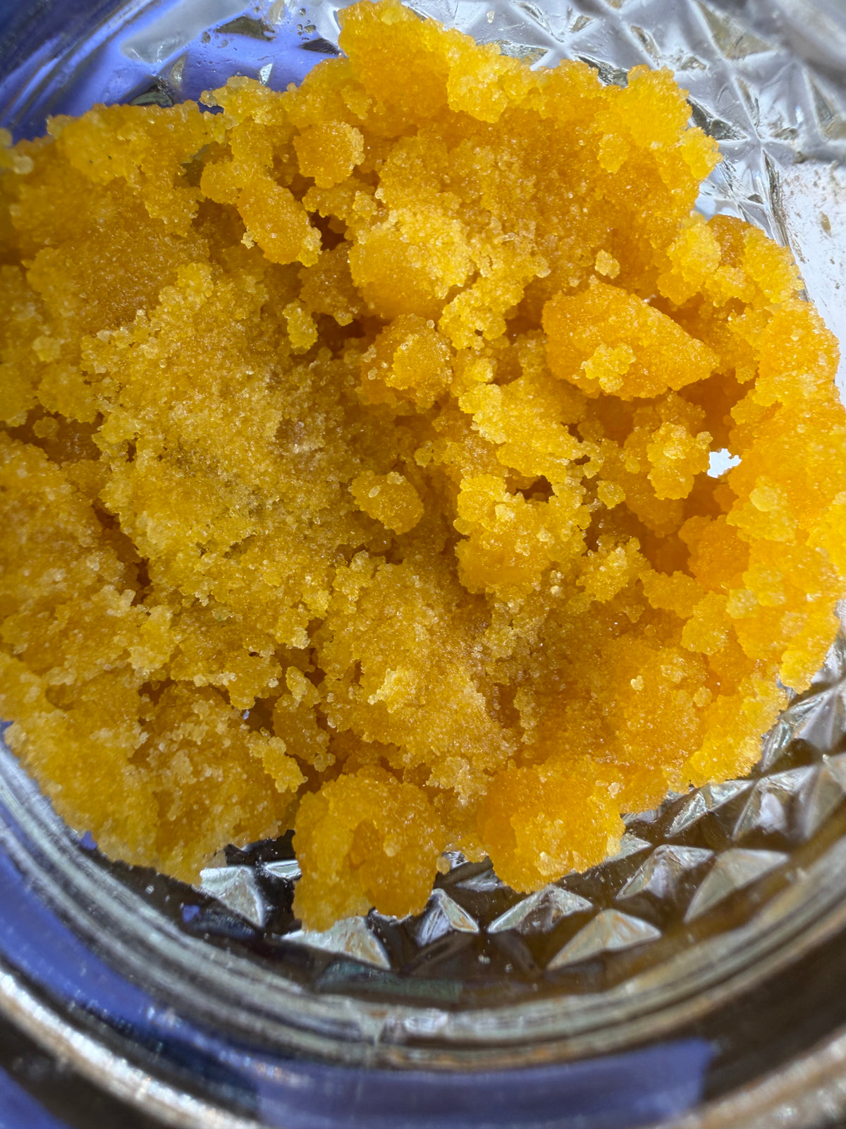 Indoor Nug Run Sugar VERY LIMITED