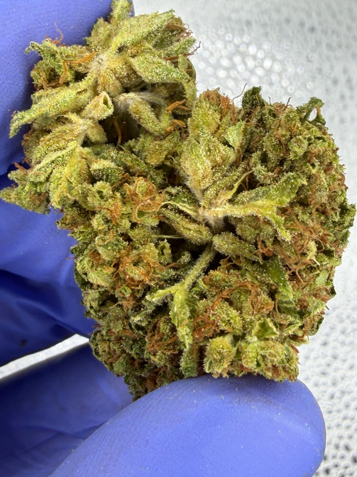 Real NYC Sour Diesel Classic Strain VERY RARE