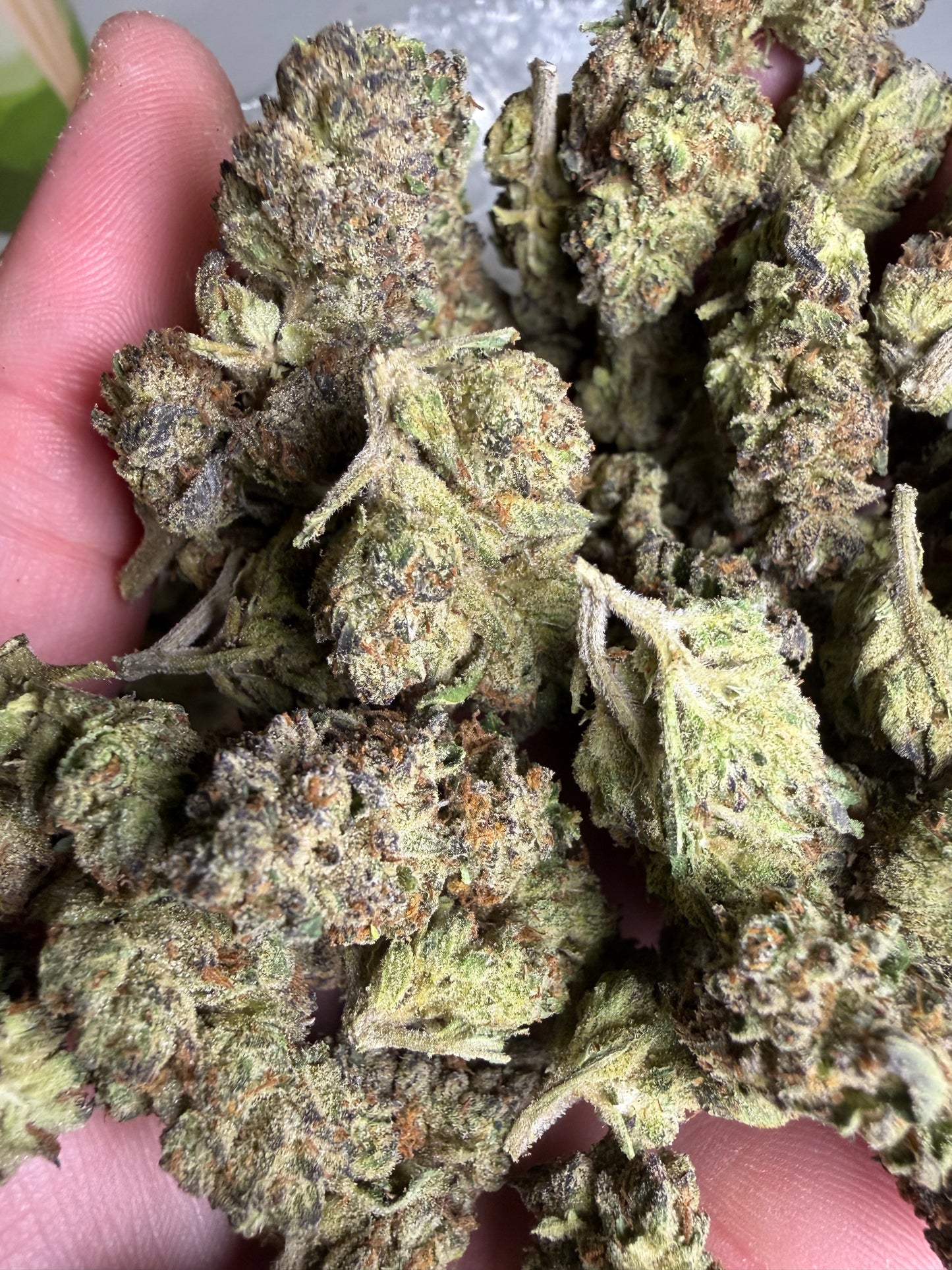 Modified Grapes Indoor Mediums ships June 3rd