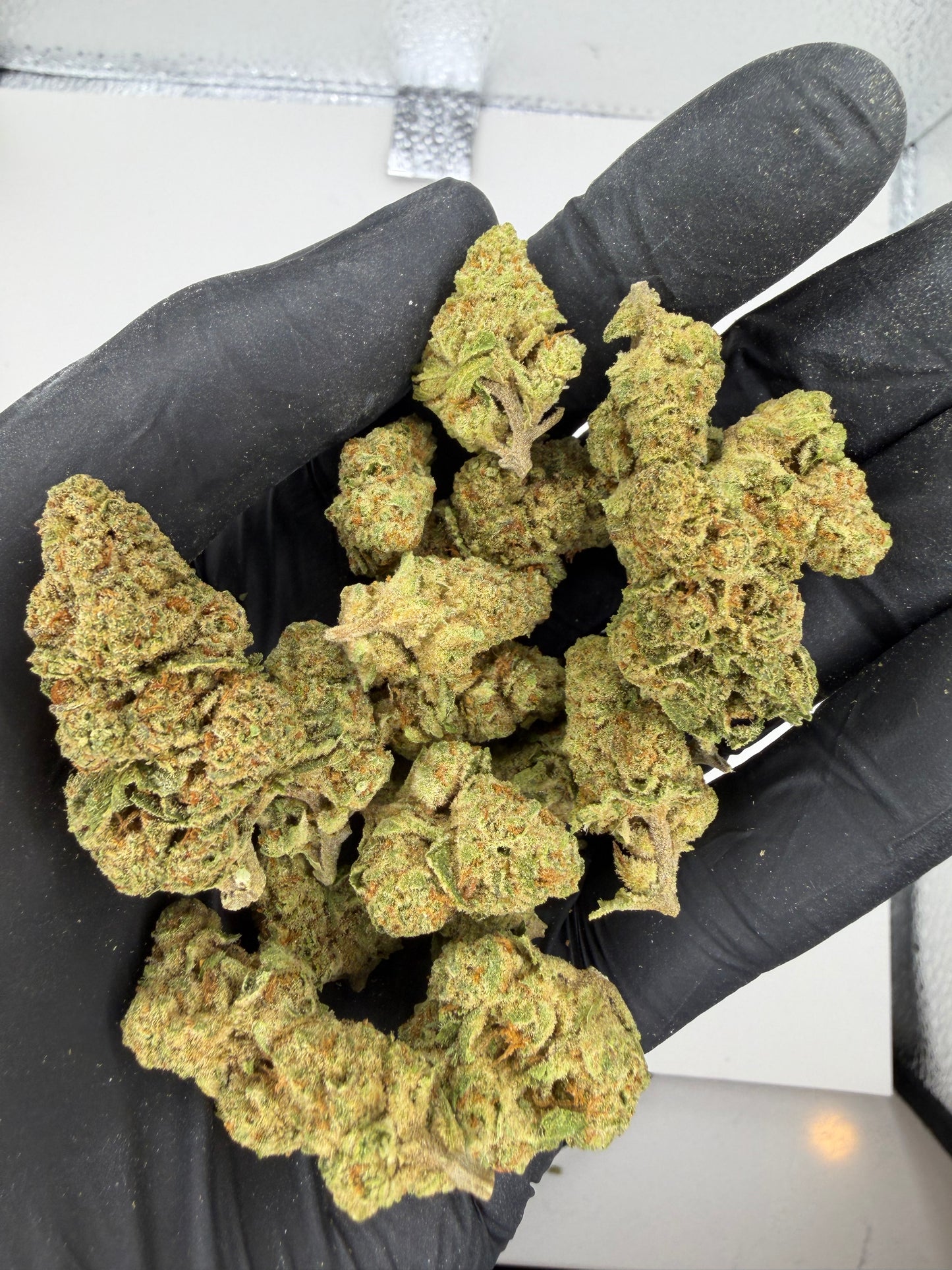 Lambo OG