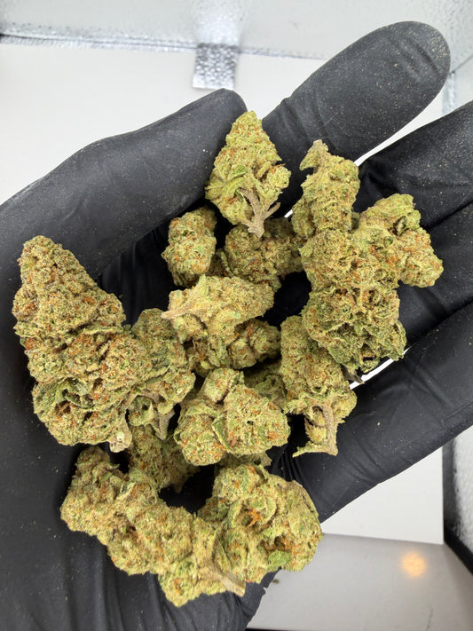 Lambo OG