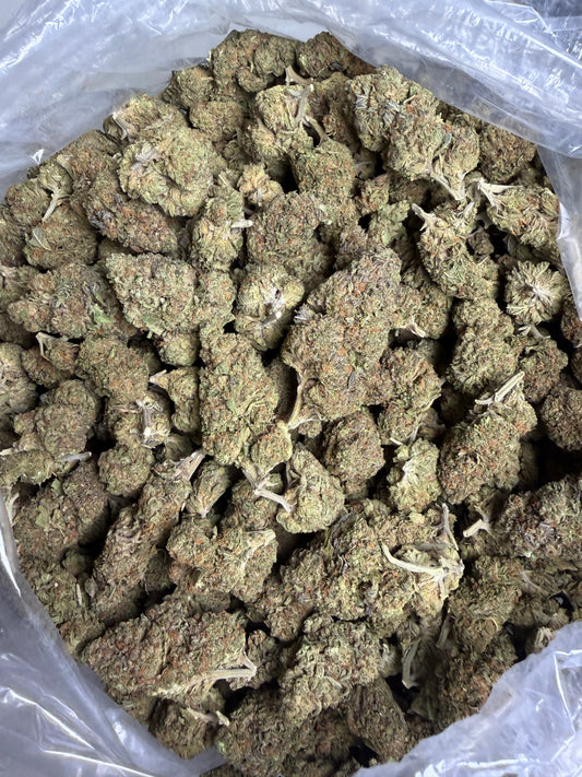 Super Cherry Gelato OLDER BATCH ships June 3rd
