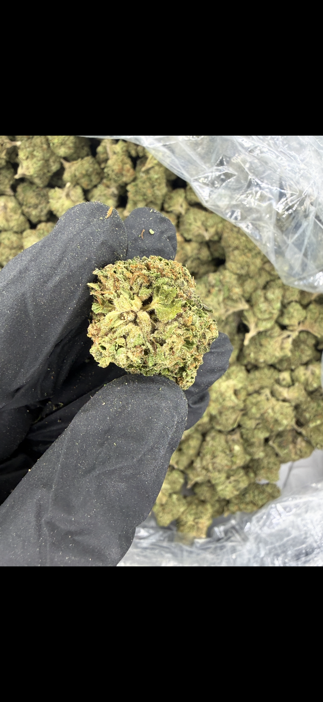 Permanent Marker Indoor Light Assist