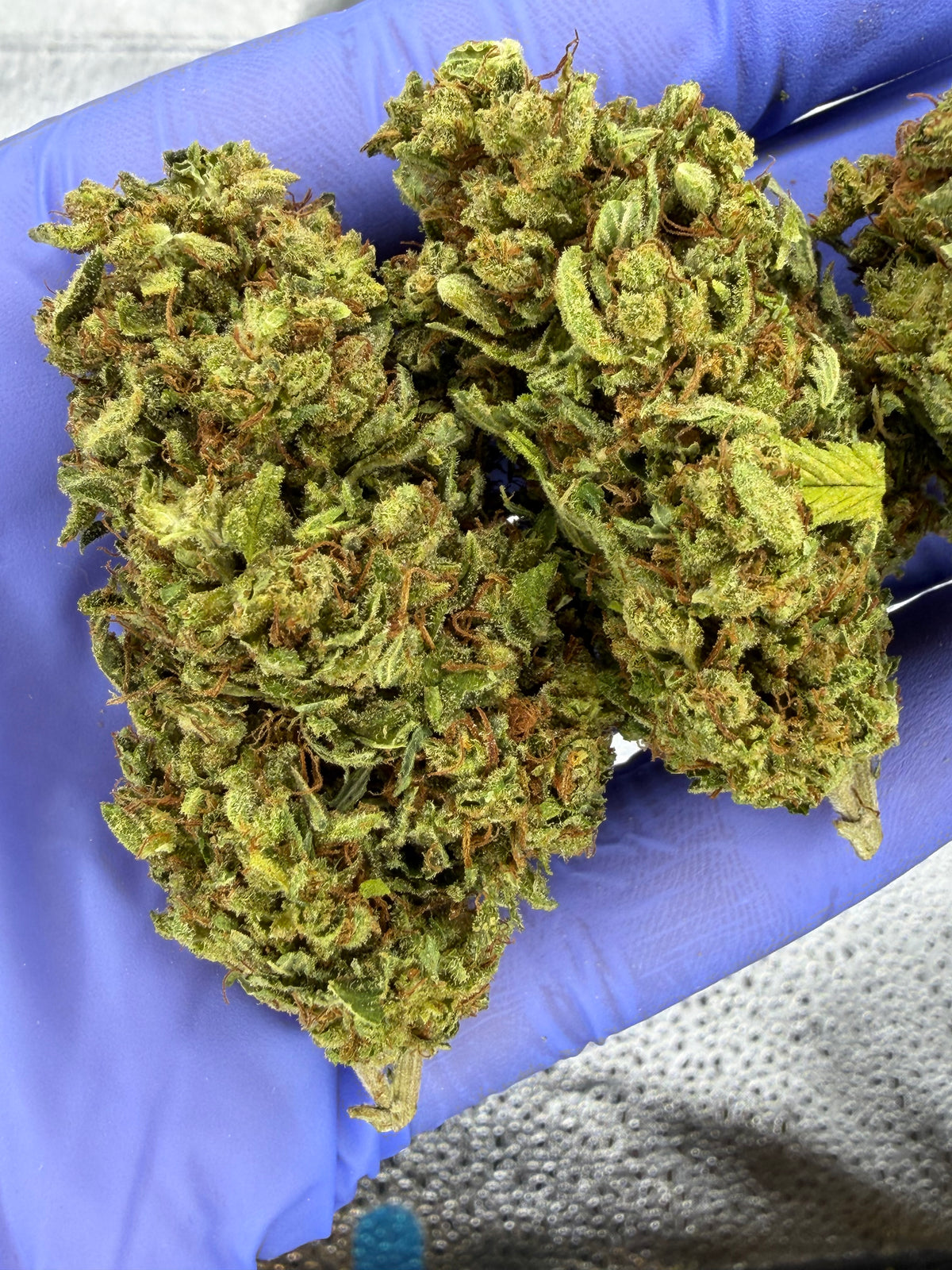 Real NYC Sour Diesel Classic Strain VERY RARE