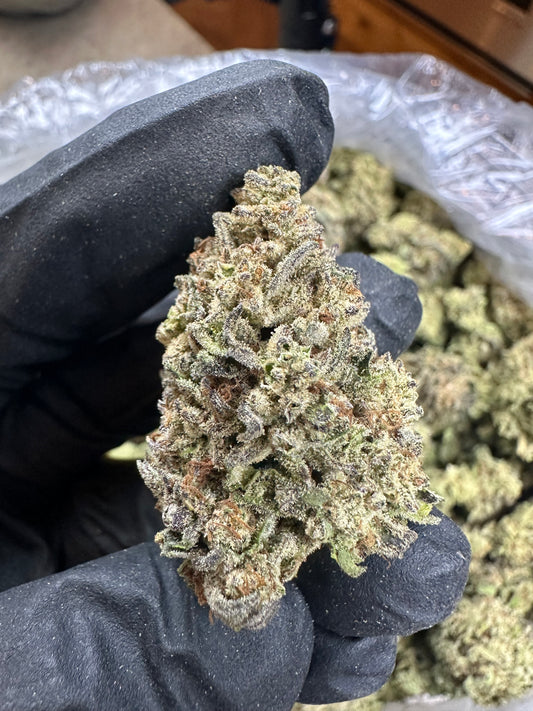 Oreoz Indoor Light Assist