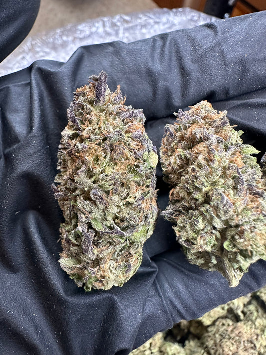 Mendo Purp Indoor Light Assist
