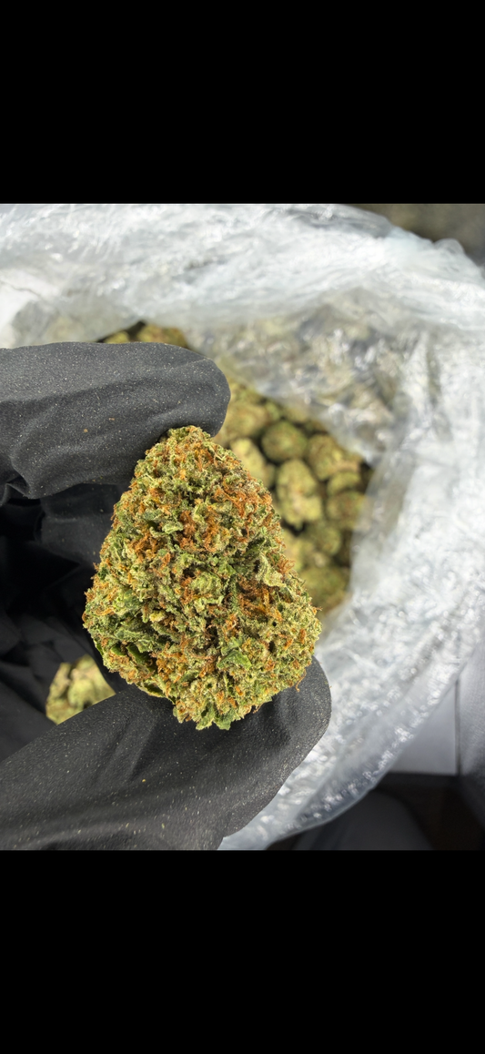 Gelato 41 Indoor Light Assist